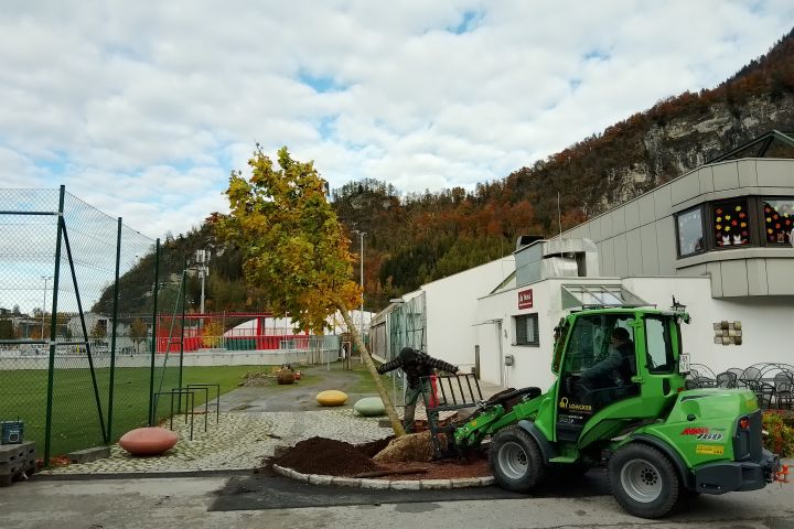 55 Bäume beim neuen Jugend- und Freizeitplatz gepflanzt