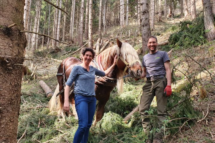 Bludenzer Forst -  nachhaltig und zukunftsfit ins Jahr
